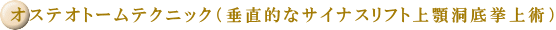 オーステオトームテクニック法とは